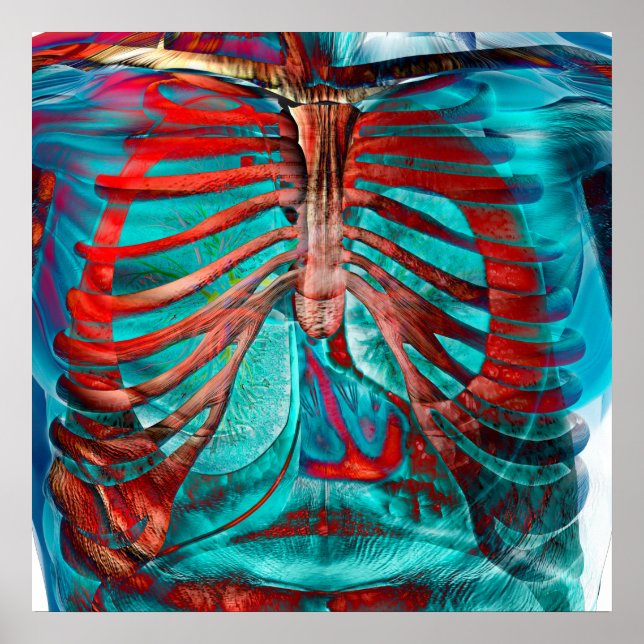 Póster Peito humano (Frente)