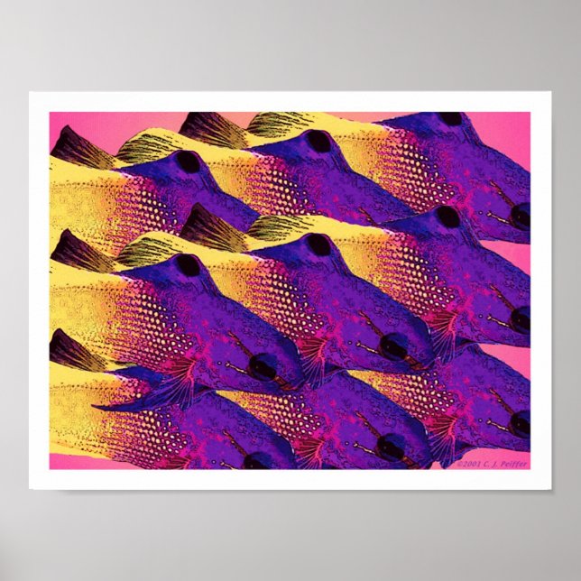 Poster 'Peixe 6.2' (Frente)