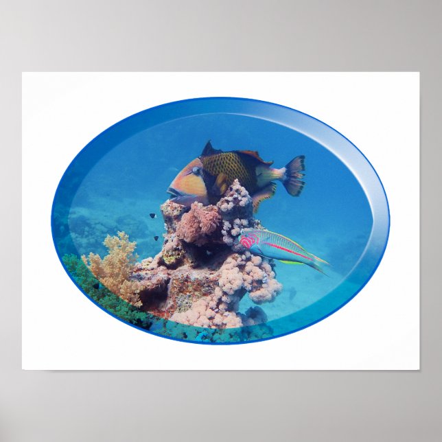 Poster Peixe-balão em recife de coral - Design Fotográfic (Frente)