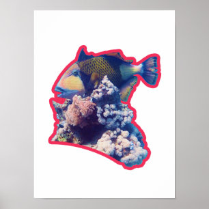 Poster Peixe-balão Vista de colheita orgânica com borda