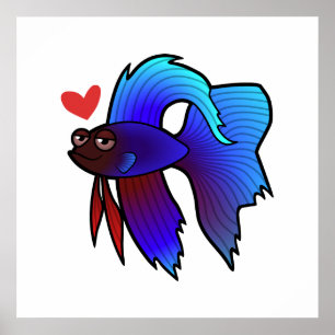 Póster Peixe Betta / Peixe Combatente Siameses Amor