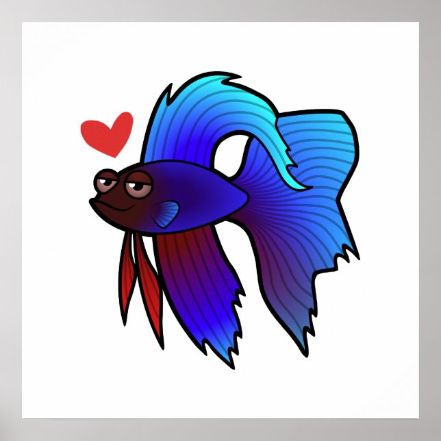 Póster Peixe Betta / Peixe Combatente Siameses Amor (Frente)