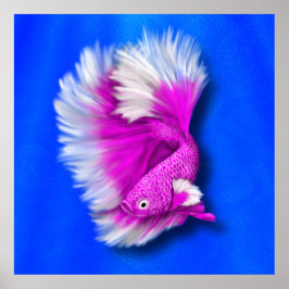Poster Peixe-Betta Rosa Branco e Quente