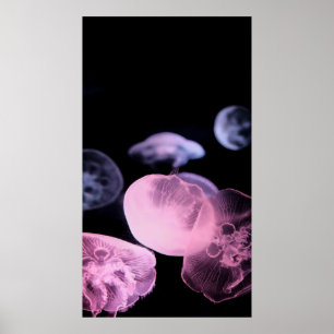 POSTER PEIXE BRANCO NA ÁGUA COM FUNDO PRETO