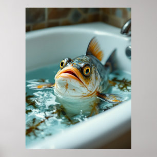 Poster Peixe engraçado no banho