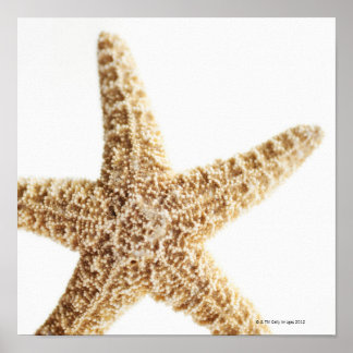 Póster Peixe-estrela