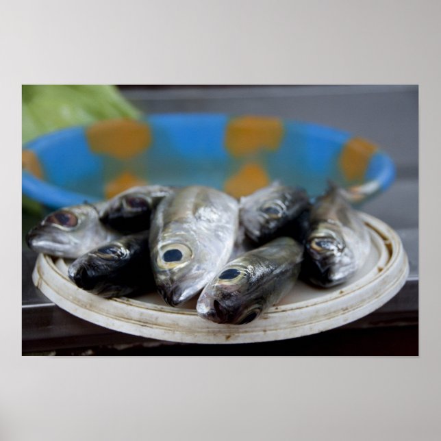 Poster Peixe fresco no mercado do peixe), (Frente)