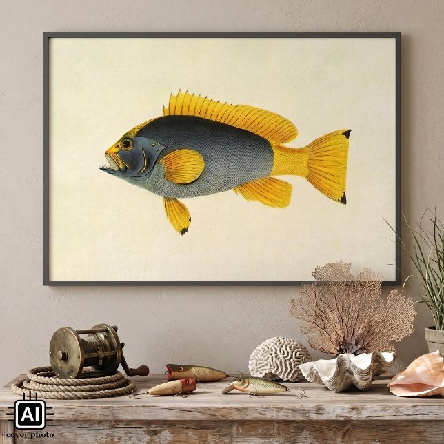Poster Peixe garoupa azul e amarelo vintage, vida marinha (Vintage illustration marine life design featuring a blue and yellow grouper saltwater fish. )