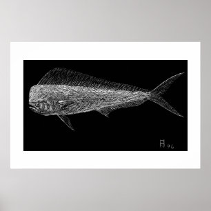 Poster Peixe-golfinho