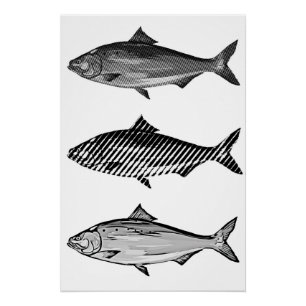 Póster Peixe gráfico preto e branco