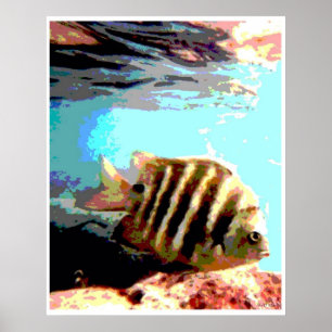 Poster Peixe Havaiano