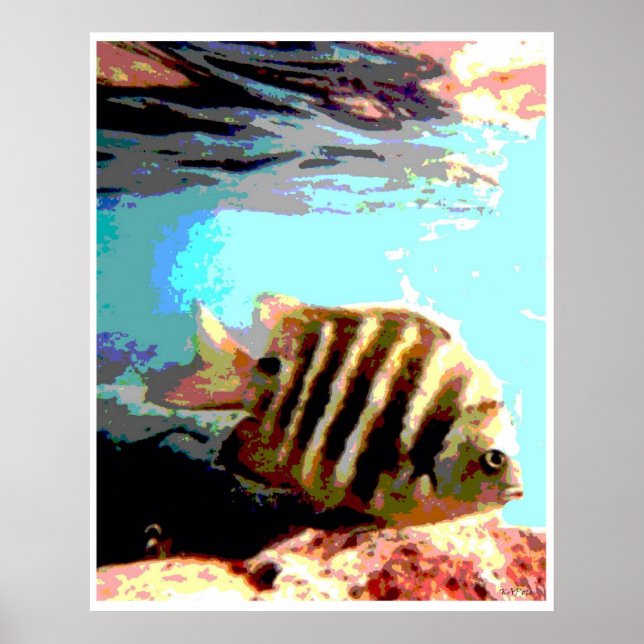 Poster Peixe Havaiano (Frente)