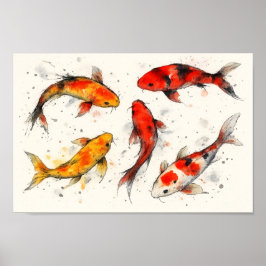 Poster Peixe Koi