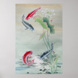Poster Peixe Koi com Lotus