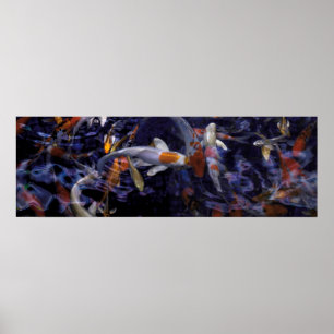 POSTER PEIXE KOI NO FLUXO #2