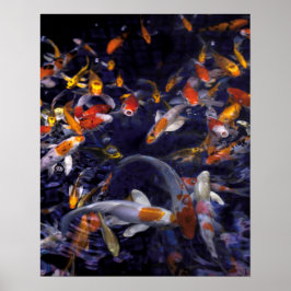 POSTER PEIXE KOI SOBRE O FLUXO