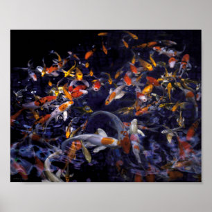 POSTER PEIXE KOI SOBRE O FLUXO