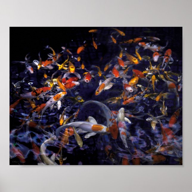 POSTER PEIXE KOI SOBRE O FLUXO (Frente)