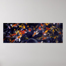 POSTER PEIXE KOI SOBRE O FLUXO