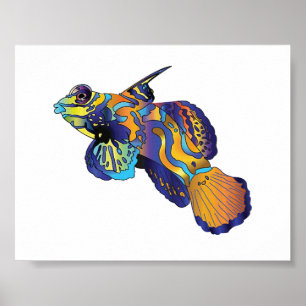 Poster - Peixe mandarim