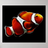 Peixe-palha de laranja tropical
