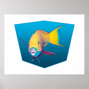 Poster Peixe papagaio - gradiente de design de fundo azul