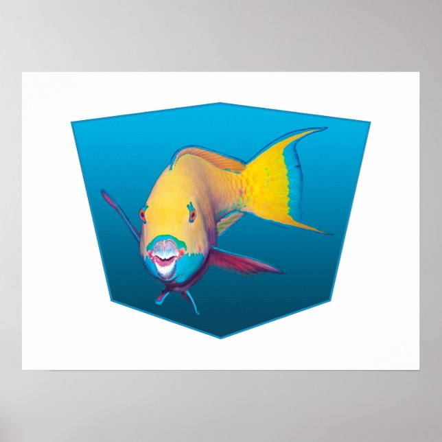 Poster Peixe papagaio - gradiente de design de fundo azul (Frente)