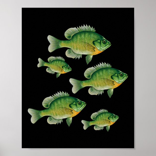 Poster Peixe Sol Azul Engraçado Pesca Peixe de Água Doce  (Frente)