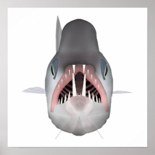 Poster Peixe-Vampiro - Cabeça de Peixe