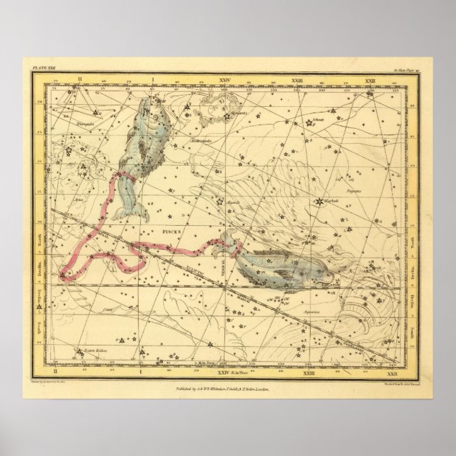 Poster Peixes (Frente)