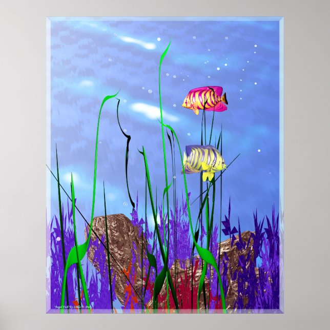 Poster Peixes-anjo 3d Coloridos (Frente)