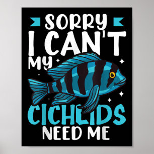 Poster Peixes Ciclídeos Animais Engraçados Aquário Africa
