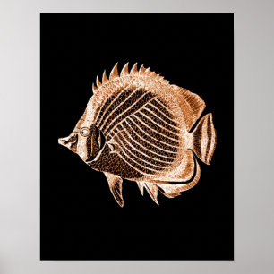 Poster Peixes costeiros oceanos litorais praia mar negro