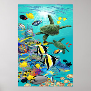 Poster Peixes da angra de Molokini e mar tropicais