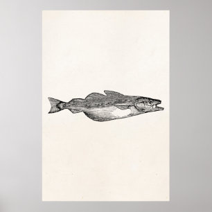 Poster Peixes das pescadas polacas do vintage - modelo