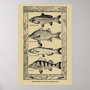 Poster Peixes de Água Doce Populares Vintage por Louis Rh