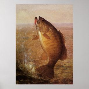Póster Peixes De Baixo Marrom, De Largemouth, Pesca Espor
