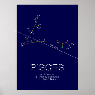 Poster Peixes de constelação Zodiac