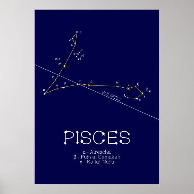 Poster Peixes de constelação Zodiac (Frente)