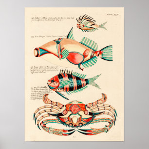 Poster Peixes de recifes tropicais Vintage
