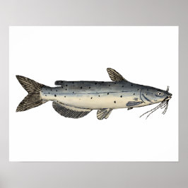 Poster Peixes do Canal (juvenis)