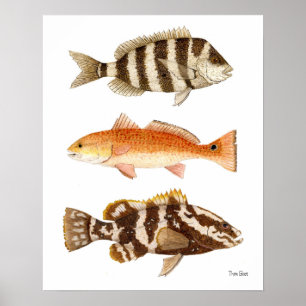 Poster Peixes do jogo da água salgada