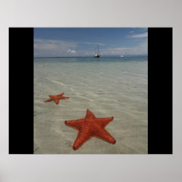 Poster Peixes-estrela do mar da praia e peixes-estrela sã