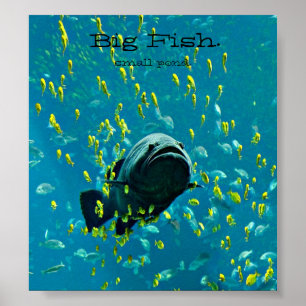 Póster Peixes grandes. lagoa pequena