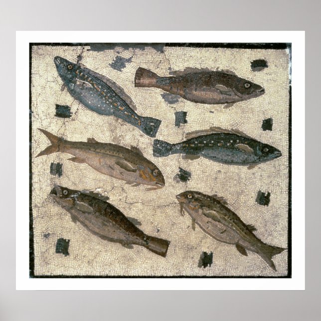 Poster Peixes (mosaico) (Frente)