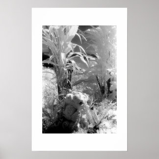 Poster Peixes no Jardim do Éden