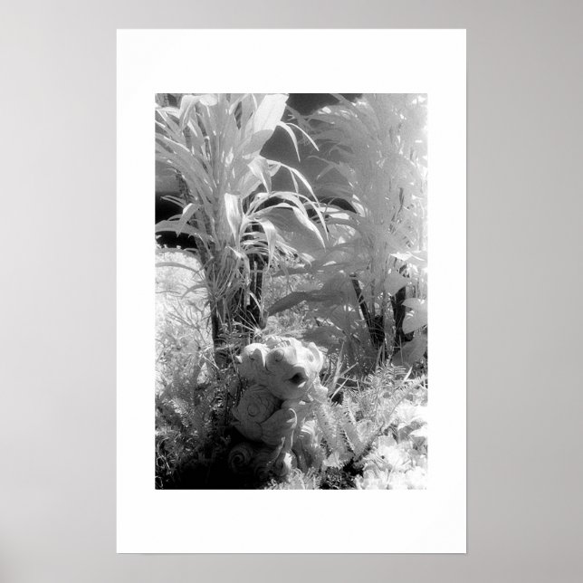 Poster Peixes no Jardim do Éden (Frente)