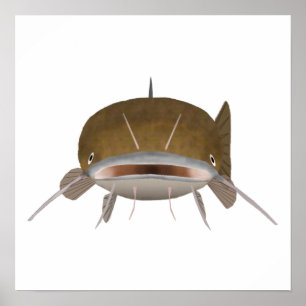 Poster Peixes-palha - Cabeça de peixe