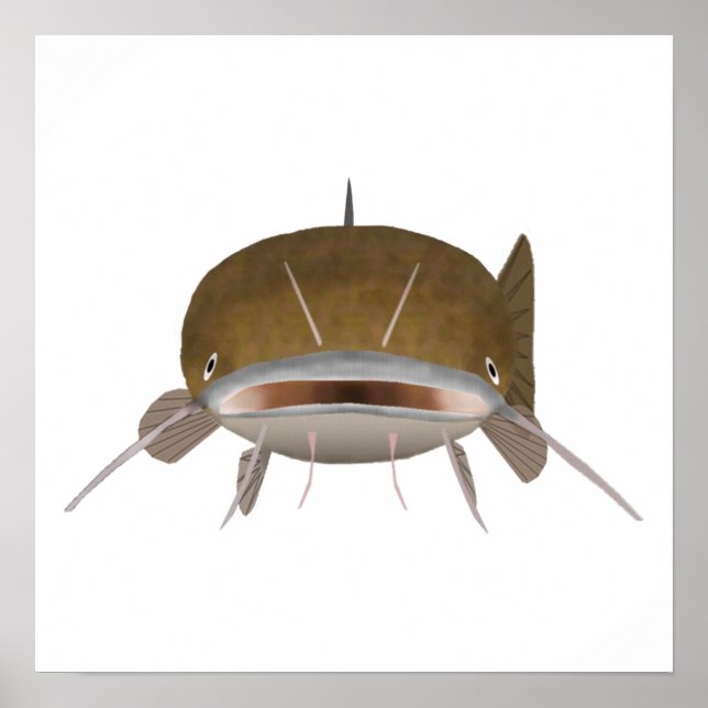 Poster Peixes-palha - Cabeça de peixe (Frente)