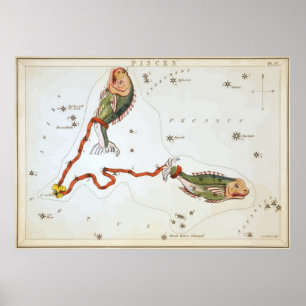 Poster Peixes - Piscis - Horoscópio - Astrologia - Estrel